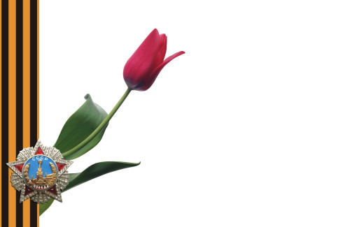 649256 (a): :2560x1600